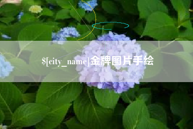 南安金牌图片手绘