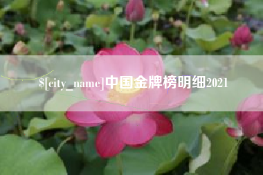 南安中国金牌榜明细2021
