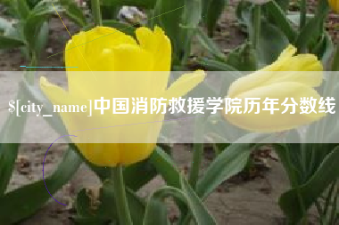 南安中国消防救援学院历年分数线