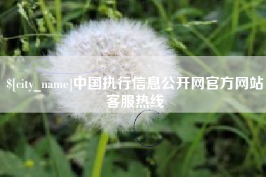 南安中国执行信息公开网官方网站客服热线