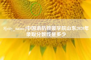 南安中国消防救援学院山东2020年录取分数线是多少