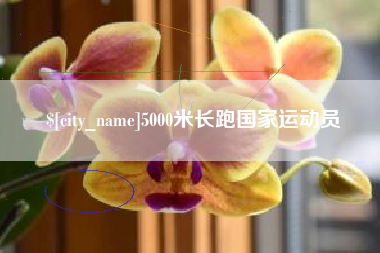 南安5000米长跑国家运动员