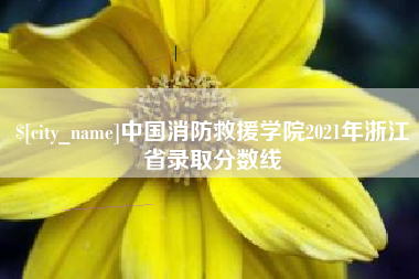南安中国消防救援学院2021年浙江省录取分数线