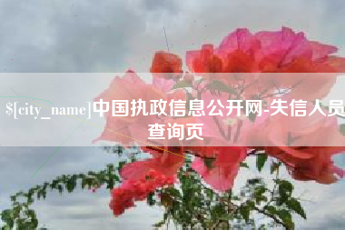 南安中国执政信息公开网-失信人员查询页