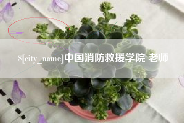 南安中国消防救援学院 老师