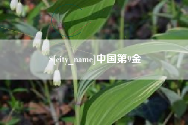 南安中国第9金