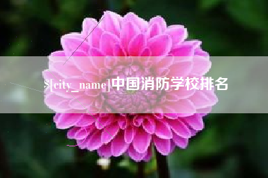 南安中国消防学校排名
