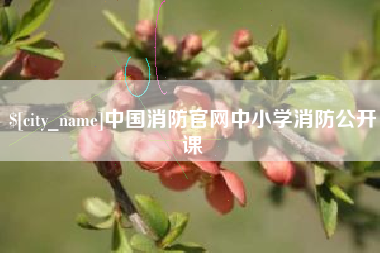 南安中国消防官网中小学消防公开课