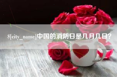 南安中国的消防日是几月几日？