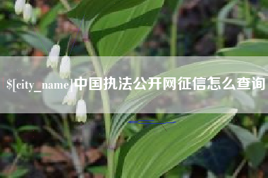 南安中国执法公开网征信怎么查询