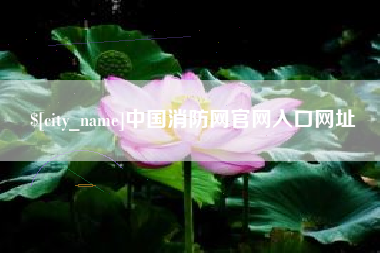 南安中国消防网官网入口网址