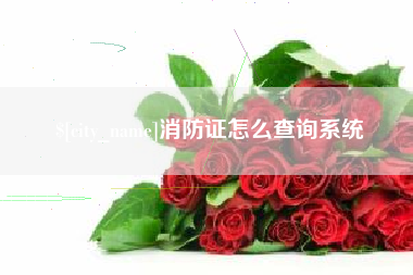 南安消防证怎么查询系统