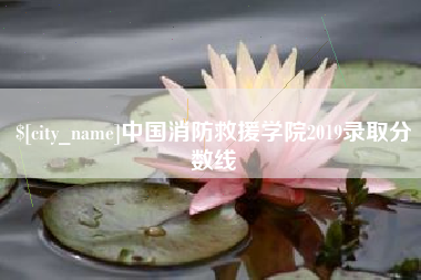 南安中国消防救援学院2019录取分数线