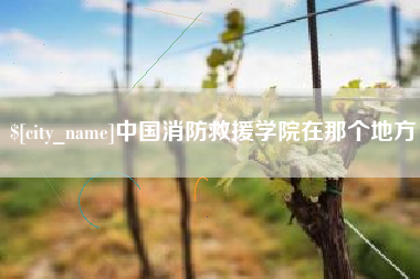 南安中国消防救援学院在那个地方