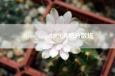 南安2021消防分数线