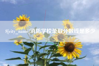 南安消防学校录取分数线是多少