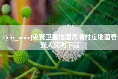 南安免费卫星地图高清村庄地图看到人实时下载