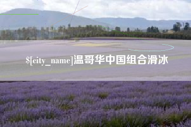 南安温哥华中国组合滑冰