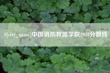 南安中国消防救援学院2018分数线
