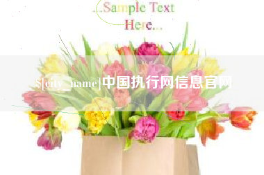南安中国执行网信息官网