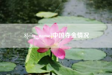 南安中国夺金情况