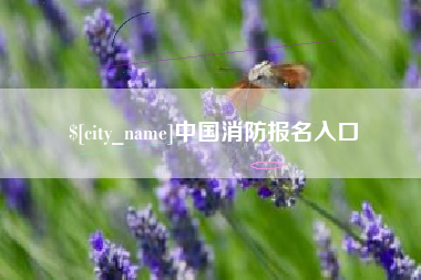 南安中国消防报名入口