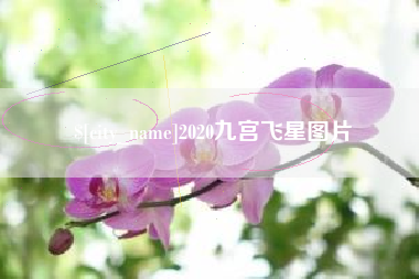 南安2020九宫飞星图片