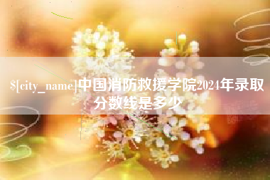 南安中国消防救援学院2024年录取分数线是多少