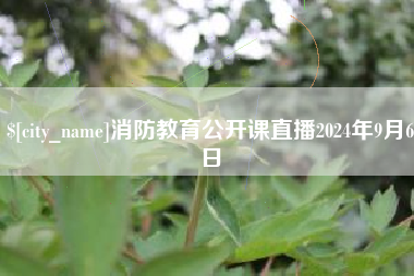 南安消防教育公开课直播2024年9月6日