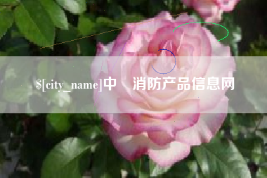 南安中囯消防产品信息网