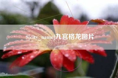 南安九宫格龙图片