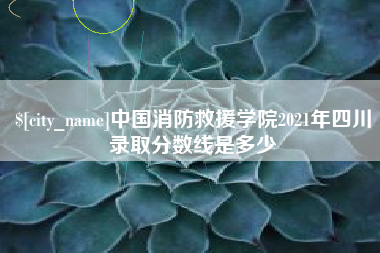 南安中国消防救援学院2021年四川录取分数线是多少