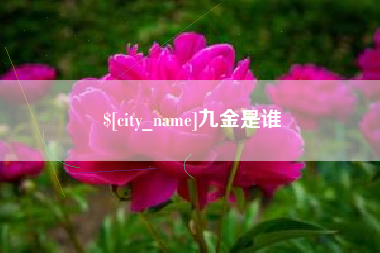 南安九金是谁