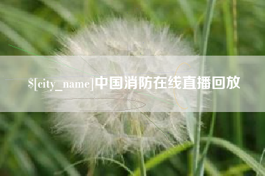 南安中国消防在线直播回放