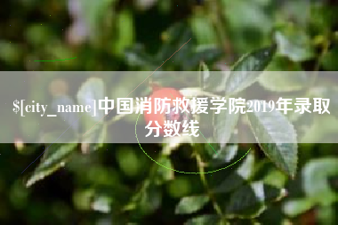 南安中国消防救援学院2019年录取分数线