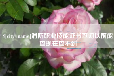 南安消防职业技能证书查询以前能查现在查不到