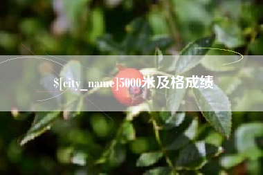 南安5000米及格成绩