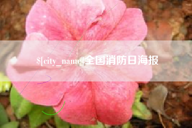 南安全国消防日海报