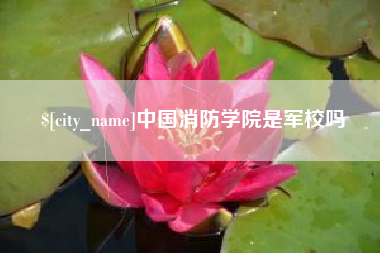 南安中国消防学院是军校吗