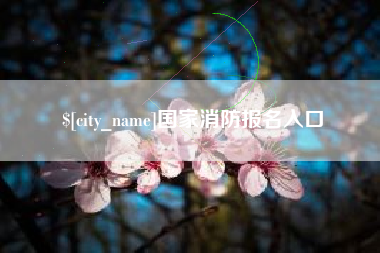 南安国家消防报名入口