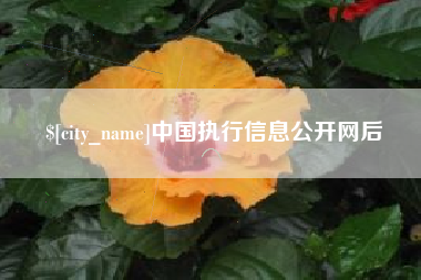 南安中国执行信息公开网后