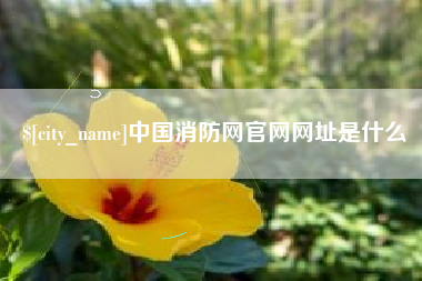 南安中国消防网官网网址是什么
