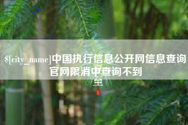 南安中国执行信息公开网信息查询官网限消中查询不到