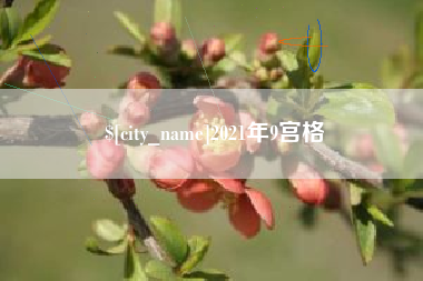 南安2021年9宫格