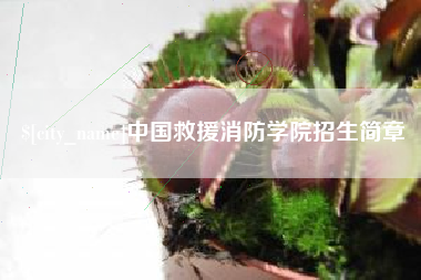 南安中国救援消防学院招生简章