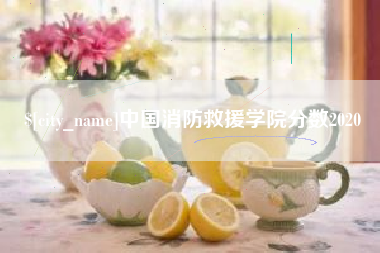 南安中国消防救援学院分数2020