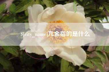 南安九金指的是什么