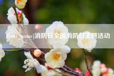 南安消防日全国消防日主题活动