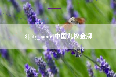 南安中国九枚金牌