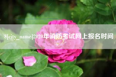 南安2020年消防考试网上报名时间